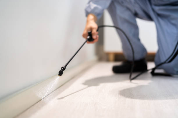 Licensed Termite Control service in Hanover County County, VA - Nex Pest Control