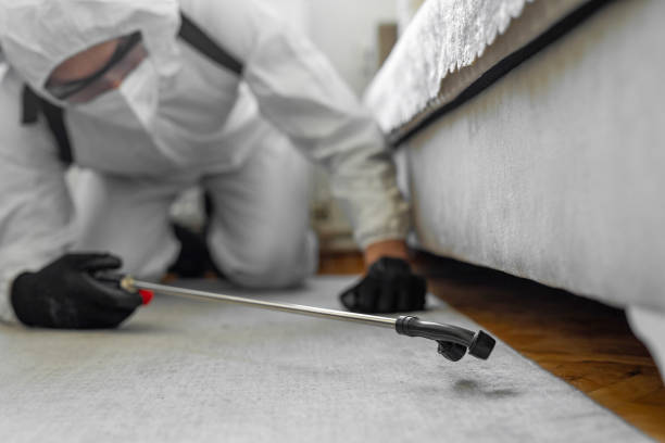 Professional Termite Control technician working in Hanover County County, VA